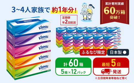 [ふるなび限定]定期便 ティッシュ クリネックス ティシュー 1ケース (5箱入×12パック)[6ヶ月ごと計2回] ティッシュペーパー セット 柔らかい 節約 日用品 消耗品 備蓄 防災 ボックス ペーパー ローリングストック 宮城 岩沼市