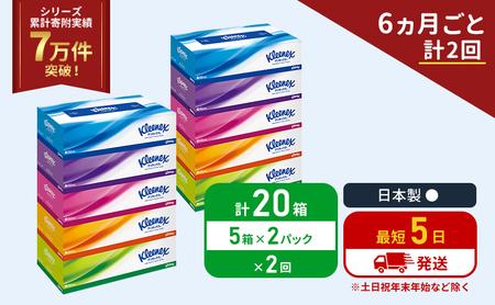 定期便 ティッシュ クリネックス ティシュー 5箱入×2パック[6ヶ月ごと計2回] ティッシュペーパー セット 柔らかい 節約 日用品 日用雑貨 備蓄 備蓄用 防災 災害 ボックス テッシュ ペーパー ローリングストック 宮城 岩沼市