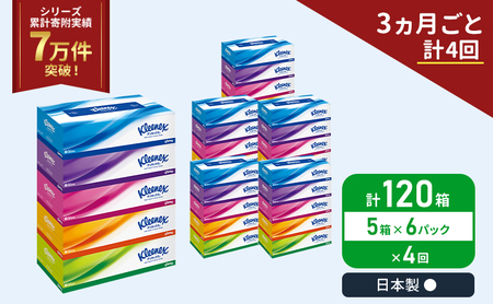 定期便 ティッシュ クリネックス 5箱入 × 6パック 《 3ヶ月ごと計  4回 》 ティッシュ セット