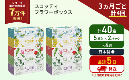 定期便 ティッシュ スコッティ フラワーボックス 40箱 (5箱×2パック)[3ヶ月ごと計4 回] ティッシュペーパー ペーパーボックス ボックスティシュー ティシュ 防災 災害 日用品 消耗品 生活用品 生活必需品 宮城県 岩沼市