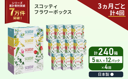 定期便 ティッシュ スコッティ フラワーボックス 240箱 ( 5箱 × 12パック )《 3ヶ月ごと 計  4回 》 