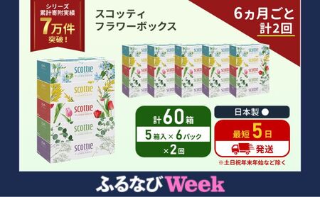 [ふるなびWEEK対象]定期便 ティッシュ スコッティ フラワーボックス 60箱 (5箱×6パック)[6ヶ月ごと計2 回] ティッシュペーパー ティシューペーパーボックスティッシュ ティシュペーパー 防災 災害 日用品 生活用品 宮城県 岩沼市