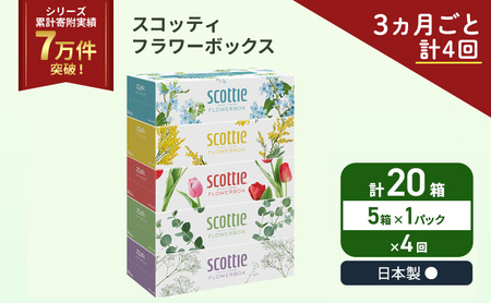 定期便 ティッシュ スコッティ フラワーボックス 5箱 × 1パック《 3ヶ月ごと計 4回 》