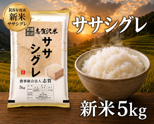 希少 新米 令和8年産 ササシグレ 5kg 精米