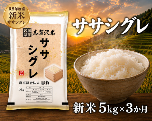 希少 新米 定期便 3ヶ月 令和8年産 ササシグレ 5kg 精米