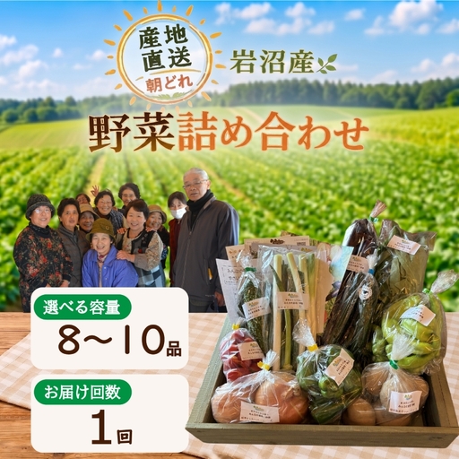 産地直送 朝どれ 新鮮野菜 8〜10種類 詰め合わせ セット 野菜
