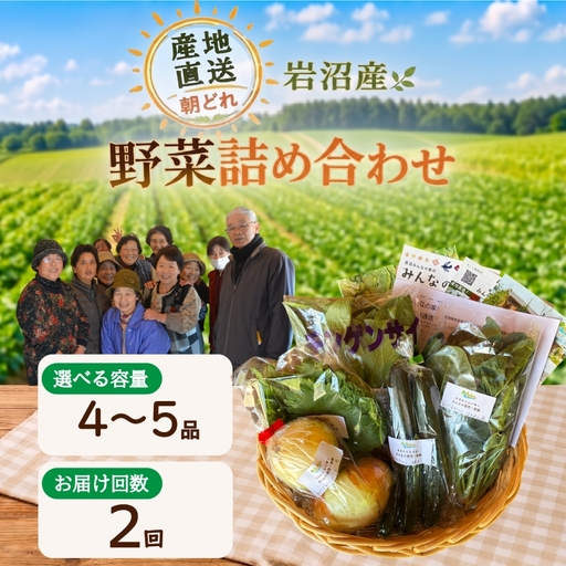 [定期便2ヶ月] 産地直送 朝どれ 新鮮野菜 4〜5種類 詰め合わせ セット 野菜