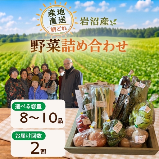 [定期便2ヶ月] 産地直送 朝どれ 新鮮野菜 8〜10種類 詰め合わせ セット 野菜