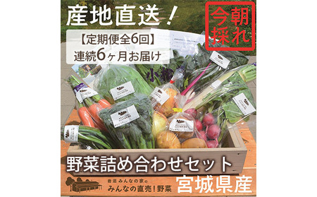 [定期便全6回]連続6ヶ月お届け!岩沼みんなの家の「みんなの直売!野菜」セット詰め合わせ