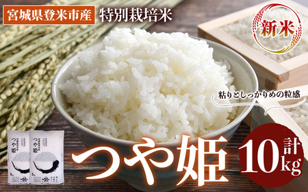 s\I2025N10ȍ~\聄ߘa7NY Vā ʍ͔| P 10kg (5kg×2)  oĎsY    R   ͂ ɂ ٓ yoăCXT[rX