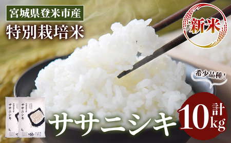 s\I2025N10ȍ~\聄ߘa7NY Vā ʍ͔| TTjVL 10kg (5kg×2)  oĎsY    R ɂ   ͂ ɂ ٓ yoăC