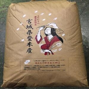こだわりの登米産ササニシキ玄米30kg