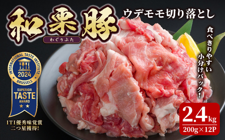 aI Ef ؂藎Ƃ v2.4kg (200g×12p)  pbN Ԃ ؓ |[N Ⓚ  ɂ  J[ Ⴊ  ؃L` oĎY yɓЁztm287