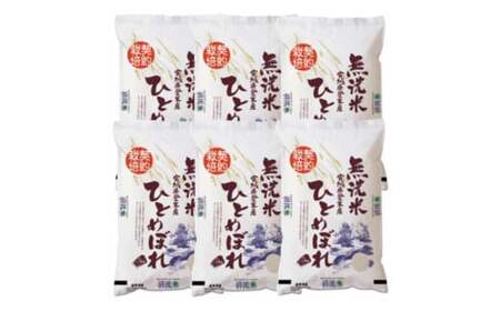 [令和6年度産] ひとめぼれ 無洗米 30kg (5kg×6袋) 和紙袋仕様 お米 おこめ 米 コメ 白米 ご飯 ごはん おにぎり お弁当 [ライス宮城株式会社]