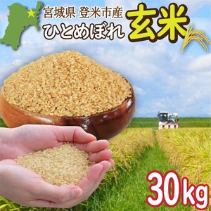 ＜先行予約！2025年9月末より順次発送予定＞≪令和7年産・新米≫ 宮城県登米市産 ひとめぼれ 玄米 30kg お米 おこめ 米 白米 コメ ご飯 ごはん おにぎり お弁当 ブランド米【有限会社伊豆沼農産】tm408