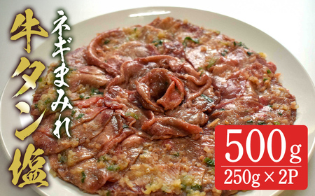 牛タン塩 ネギまみれ 500g(250g×2p) 牛タン タン 牛たん 牛肉 肉 食品 冷凍保存 焼肉 BBQ バーベキュー 焼き肉 小分け [有限会社ちば食品]tm377