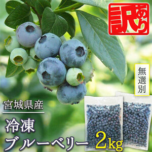 ≪ 訳あり≫ 無選別 冷凍ブルーベリー 2kg ブルーベリー 果物 フルーツ 朝食 ヨーグルト スムージー 健康 訳アリ[有限会社伊豆沼農産]tm439