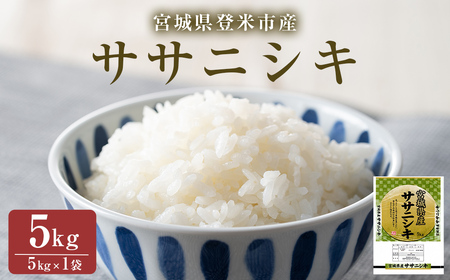 ߘa7NYEVāTTjVL  5kg(5kg×1) oĎsY    ͂   ɂ ٓ ɂ 5kg y{鏤Ёztm463