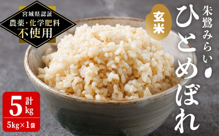 [宮城県認証 農薬・化学肥料不使用]ひとめぼれ 玄米 5kg (5kg×1袋) 朱鷺みらい 玄米 登米市産 お米 おこめ 米 コメ 白米 ご飯 ごはん おにぎり お弁当 [オーガニックとめネットワーク]tm391