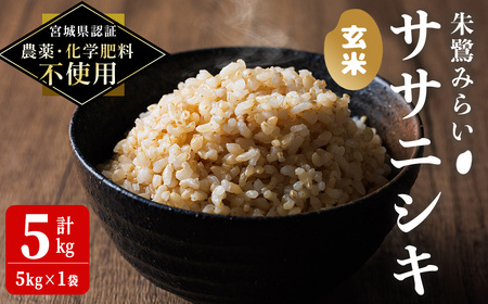 [宮城県認証 農薬・化学肥料不使用]ササニシキ 玄米 5kg (5kg×1袋) 朱鷺みらい 玄米 登米市産 お米 おこめ 米 コメ 白米 ご飯 ごはん おにぎり お弁当 ささにしき [オーガニックとめネットワーク]tm395