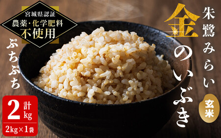 [宮城県認証 農薬・化学肥料不使用]金のいぶき 玄米 2kg(2kg×1袋) 朱鷺みらい 登米市産 お米 おこめ 米 コメ ご飯 ごはん おにぎり お弁当 [オーガニックとめネットワーク]tm586