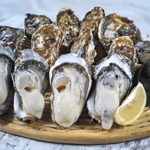 松島牡蠣屋 殻付き牡蠣（生食用） 8kg  生牡蠣 宮城県産 牡蛎 牡蠣 カキ オイスター カキフライ 牡蠣鍋 海鮮 国産 魚貝類 【菊地水産合同会社】tm747