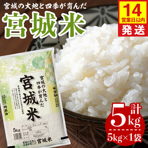 [14営業日以内に発送予定]宮城米 5kg×1袋 ブレンド米 業務用 お米 おこめ 米 コメ 白米 ご飯 ごはん おにぎり お弁当 [登米ライスサービス株式会社]tm732