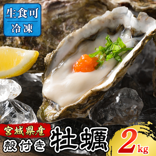 殻付き牡蠣(生食用)冷凍 2kg 生牡蠣 宮城県産 牡蛎 牡蠣 カキ かき 生食 オイスター カキフライ 牡蠣鍋 海鮮 貝 国産 魚貝類 バーベキュー BBQ [松島かき小屋MATSU]tm704