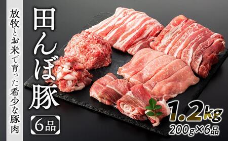 田んぼ豚200g×6品セット1.2kg(放牧とお米で育った希少な豚肉)