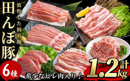≪希少なヒレ肉入り≫ 田んぼ豚セット 計1.2kg (200g×6種) 豚肉 肉 お肉 冷凍 にく 登米市産 ヒレ厚切り ロース バラ モモのスライス 肩焼肉用 ひき肉 [株式会社いなほ]tm269