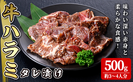 n~ IWi^ 500g(3`4l)  1cm ؂Jbg  n~   ⓀyЍztm251