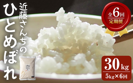 [6回定期便]≪令和7年産≫ ひとめぼれ 精米 計30kg(5kg×6回) 宮城県登米市産 お米 おこめ 米 コメ 白米 ご飯 ごはん おにぎり お弁当 6か月 頒布会[株式会社近藤農産]tm497