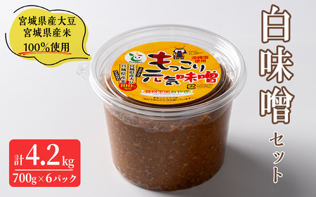 {錧Y哤E{錧Y100%gp XZbg v4.2kg (700g×6pbN) ~MV ЂƂ߂ڂ X X` ꉖgp  y ݂ yЋߓ_Yztm276
