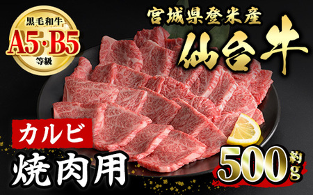 䋍 Jr ēp 500g oĎsY   ɂ {錧Y YyLЏ|Xztm016