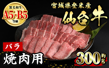 䋍 o ēp 300g oĎsY   ɂ {錧Y YyLЏ|Xztm013