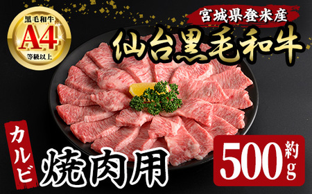 䍕јa Jr ēp 500g oĎsY   ɂ {錧Y Y јa o[xL[yLЏ|Xztm006