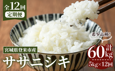 s\I2025N10甭Jn\聄ߘa7NYy12ցzTTjVL v60kg (5kg×12z) oĎsY    R ɂ   ͂ ɂ ٓ 12 
