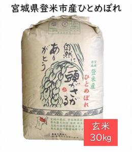[定期便/全6回]宮城県登米市産ひとめぼれ玄米30kg