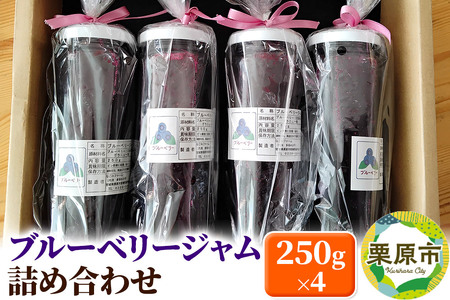 ブルーベリージャム 250g×4個