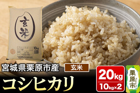 yߘa7NYEāz{錧IsY RVqJ 20kg (10kg×2)