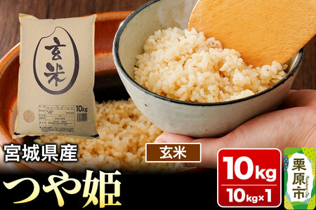 yߘa7NYEāz{錧Y P 10kg (10kg×1)