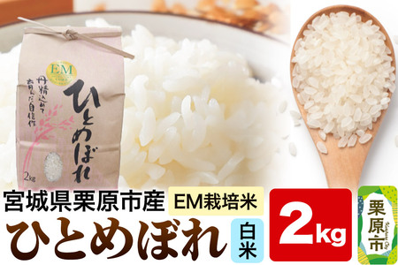 �yEM�͔|�āE���āz�{�錧�I���s�Y �ЂƂ߂ڂ� 2kg