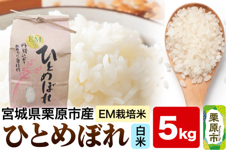 �yEM�͔|�āE���āz�{�錧�I���s�Y �ЂƂ߂ڂ� 5kg