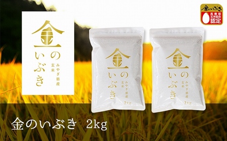 金のいぶき 玄米 2kg（1kg×2袋）