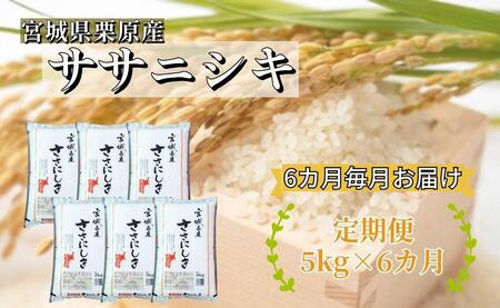 [6ヶ月定期便]宮城県栗原産 ササニシキ 毎月5kg (5kg×1袋)×6ヶ月