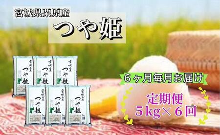[6ヶ月定期便]宮城県栗原産 つや姫 毎月5kg (5kg×1袋)×6ヶ月