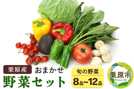 栗原産 お任せ野菜セット(8品〜12品)