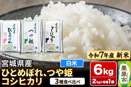 yVĎtzyuhāEHהׁz{錧Y ЂƂ߂ڂEPERVqJ ߘa7NY  2kg×3i