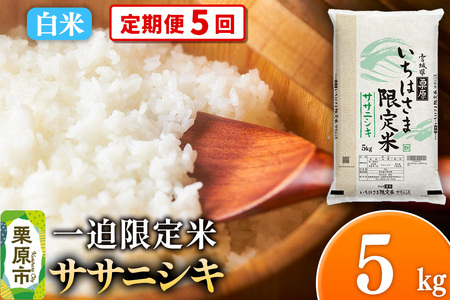 [定期便5回][白米]令和7年産 一迫限定米 ササニシキ 5kg