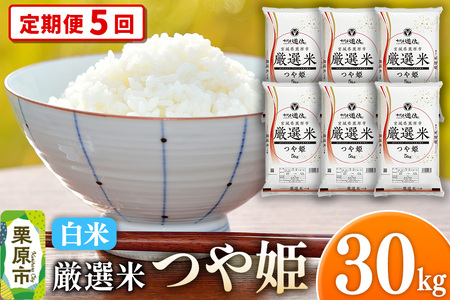 y5zyāzߘa7NY {錧Is I P 30kgi5kg×6܁j